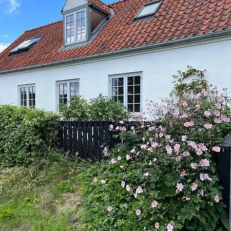 The Snekkersten